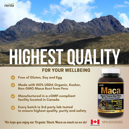 buy black maca capsules made in Canada
