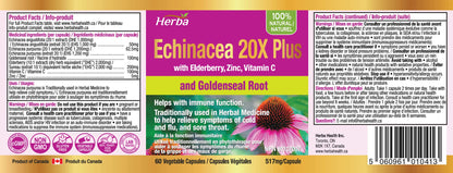 buy echinacea capsules made in Canada