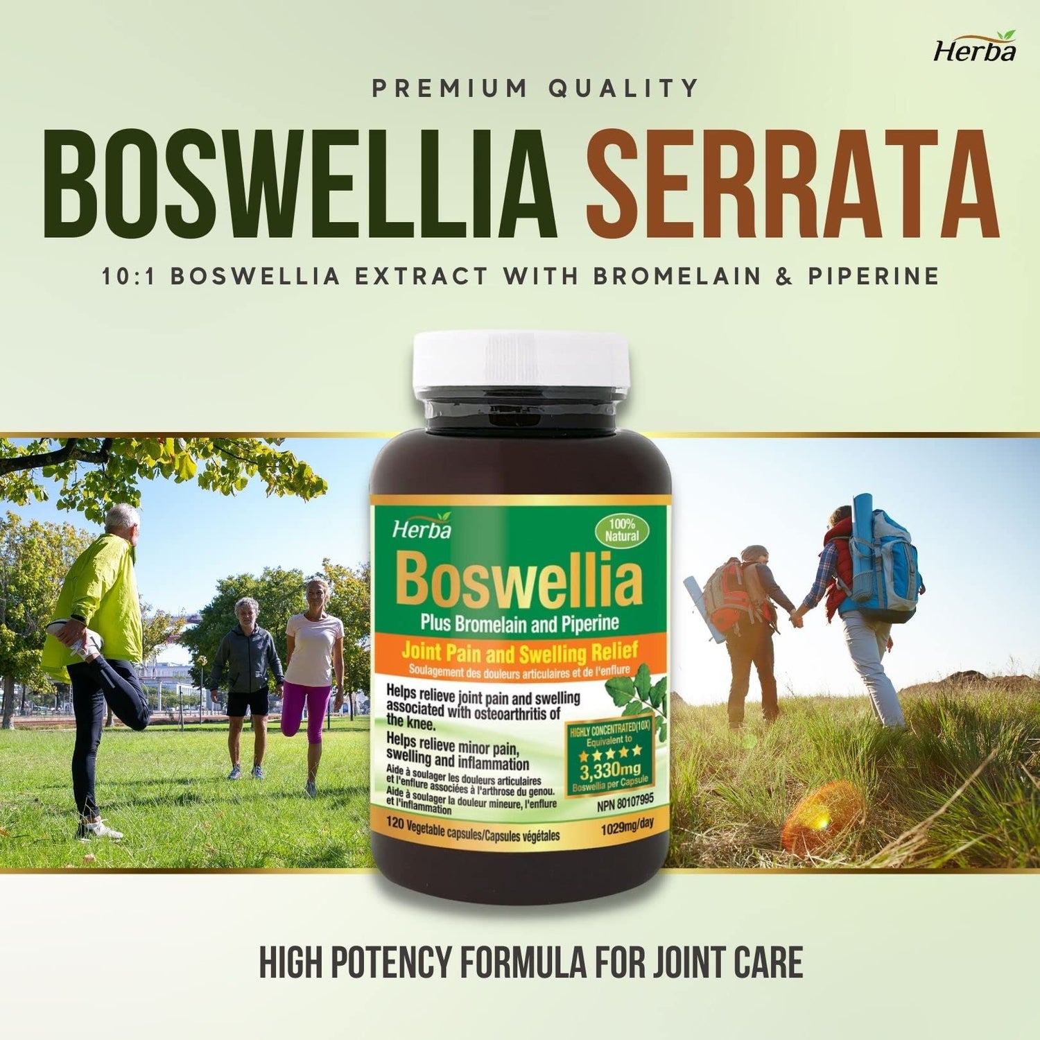 buy boswellia serrata made in Canada
