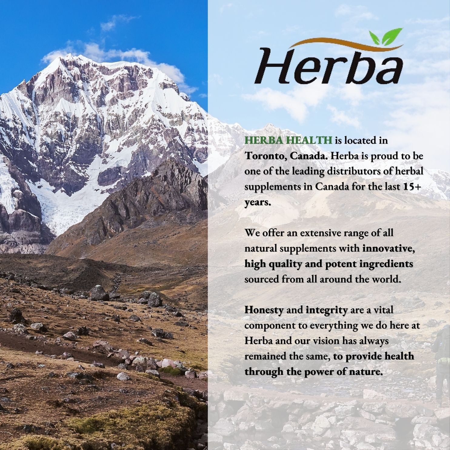 Herba 포스콜린 보조제 - 125mg, 60 식물성 캡슐 - 체중 감소를 위한 포스콜린 추출물