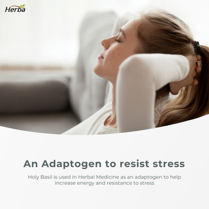 허바 유기농 홀리 바질 캡슐 – 350mg | 120 식물성 캡슐 | 3,500mg 10배 농축 홀리바질잎 추출물