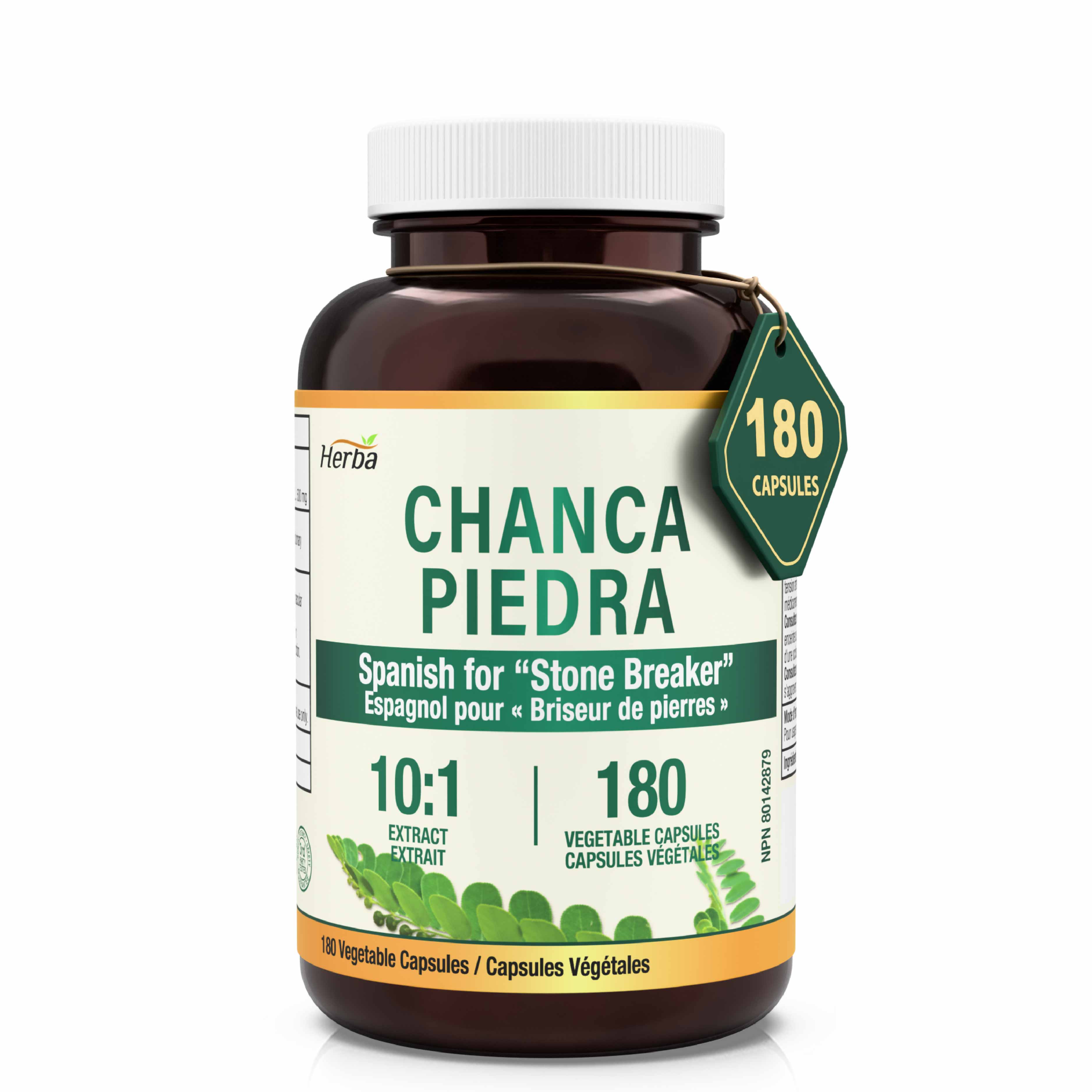 Chanca Piedra Extract - 180 Capsules | 5,000mg Equivalent | 10:1 Extract from 500mg | Spanish for &quot;Stone Breaker&quot; | Made in Canada