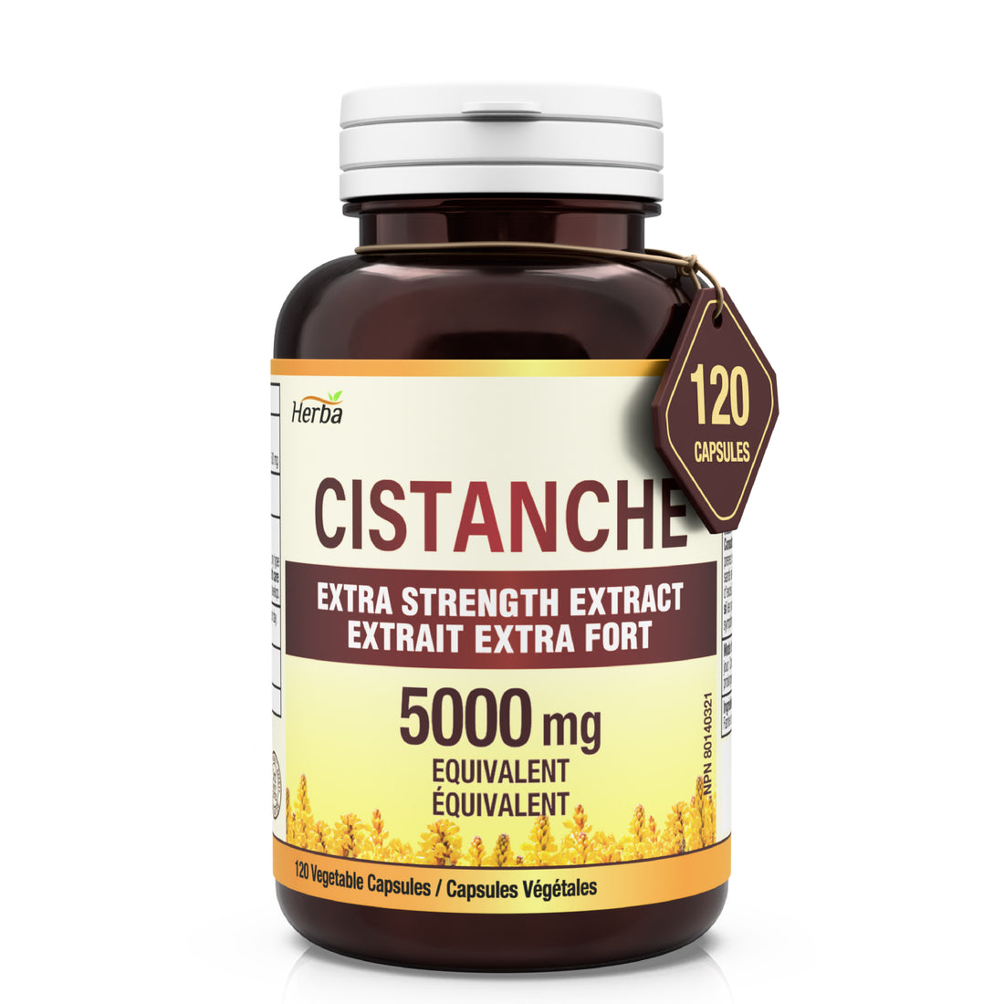 Cistanche Tubulosa Capsules – 120 Capsules | 5,000mg Equivalent | 10: 1 Extract | Made in Canada