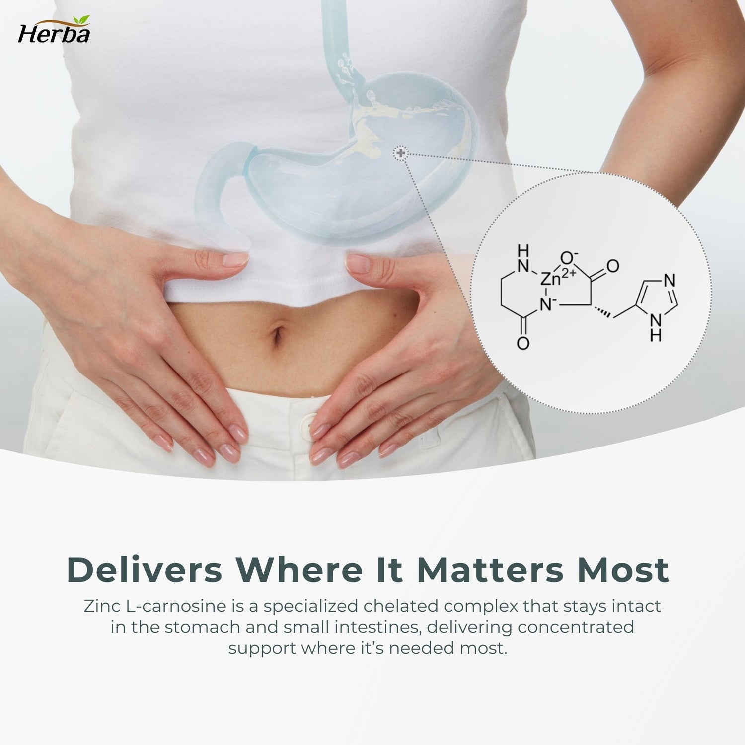 Zinc Carnosine Supplement – 90 Capsules | 150mg Per Serving (75mg Per Capsules) | Made in Canada