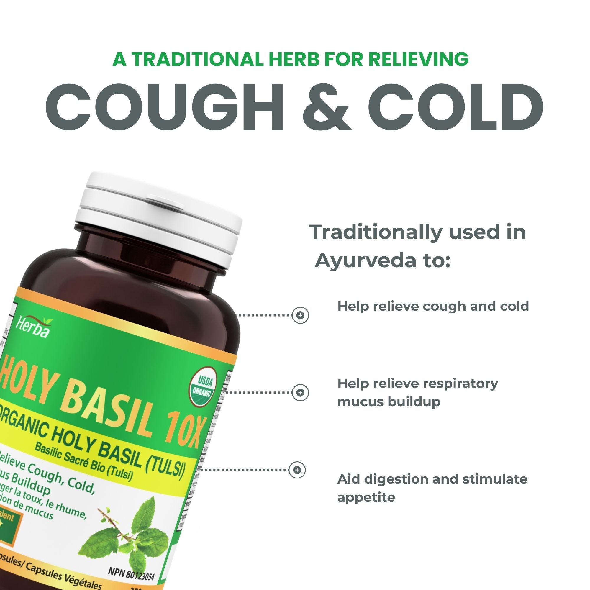 허바 유기농 홀리 바질 캡슐 – 350mg | 120 식물성 캡슐 | 3,500mg 10배 농축 홀리바질잎 추출물