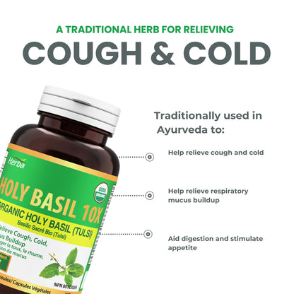 허바 유기농 홀리 바질 캡슐 – 350mg | 120 식물성 캡슐 | 3,500mg 10배 농축 홀리바질잎 추출물