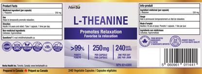 L-테아닌 보조제 250mg – 240캡슐 | 졸음 없이 휴식 촉진 | 8개월분 | 캐나다산