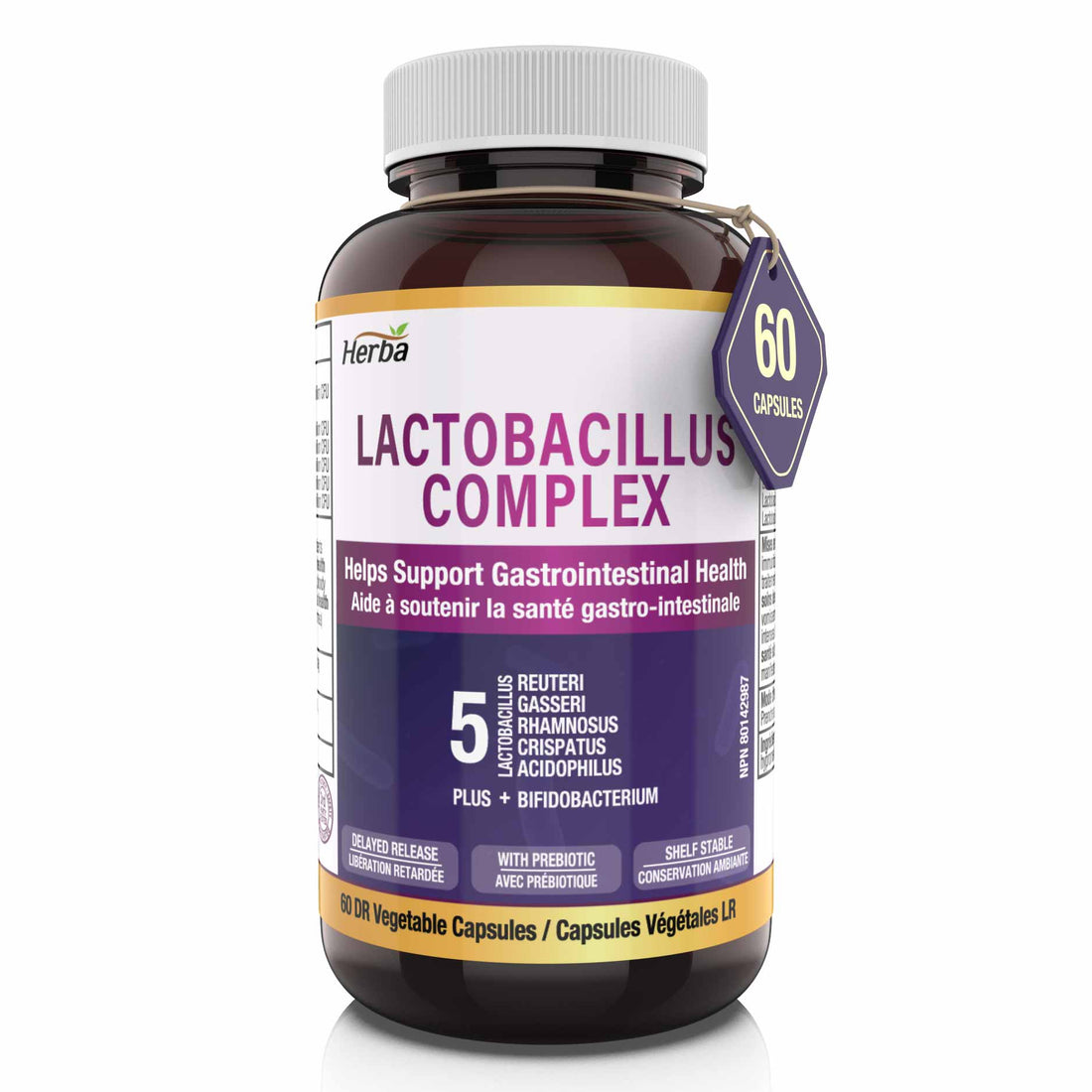 Lactobacillus Complex 25B CFU - 60 DR Capsules | 6 in 1 Lactobacillus and Bifidobacterium | Made in Canada