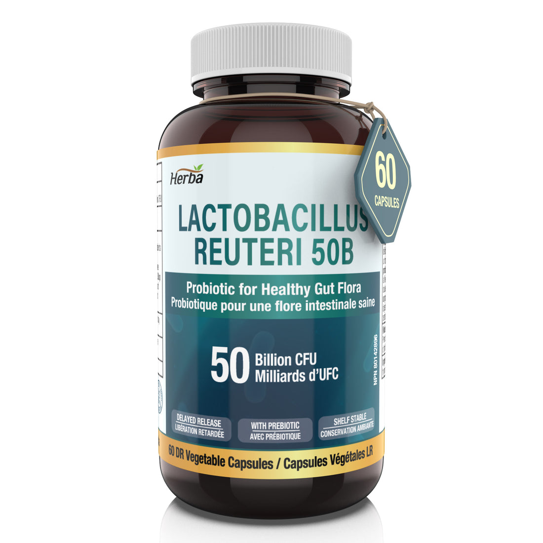 Lactobacillus Reuteri 50B CFU – 60 DR Capsules | With Prebiotic FOS | Made in Canada