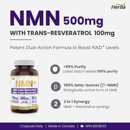 NMN 500mg 30베지캡슐 + 레스베라트롤 100mg 추가 함유