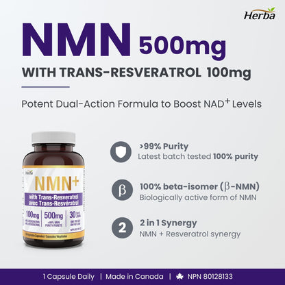 NMN 500mg 30베지캡슐 + 레스베라트롤 100mg 추가 함유
