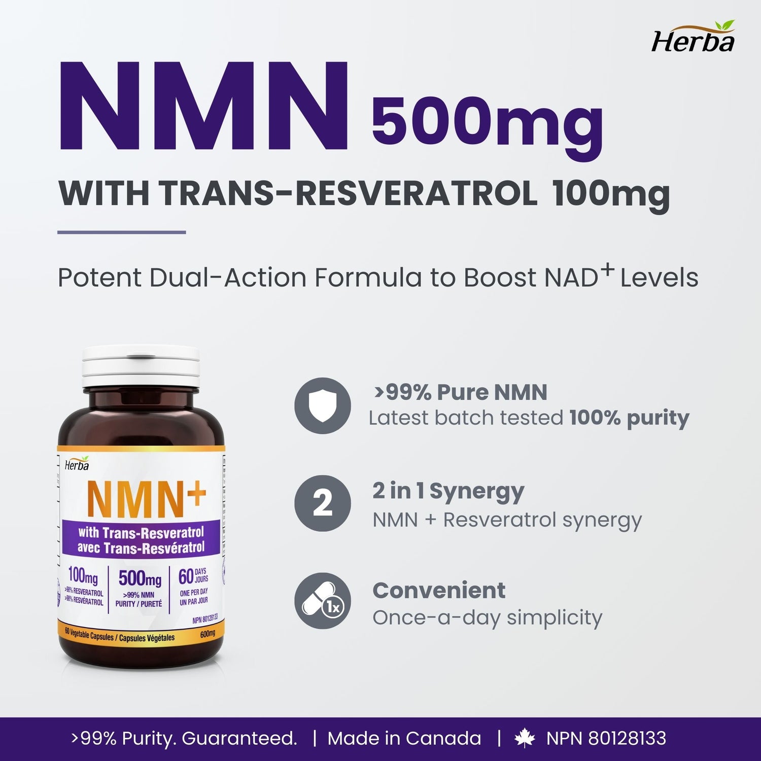 NMN 500mg 60캡슐 레스베라트롤 추가 함유