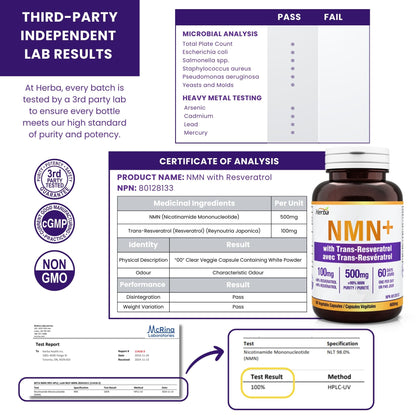 NMN 500mg 60캡슐 레스베라트롤 추가 함유
