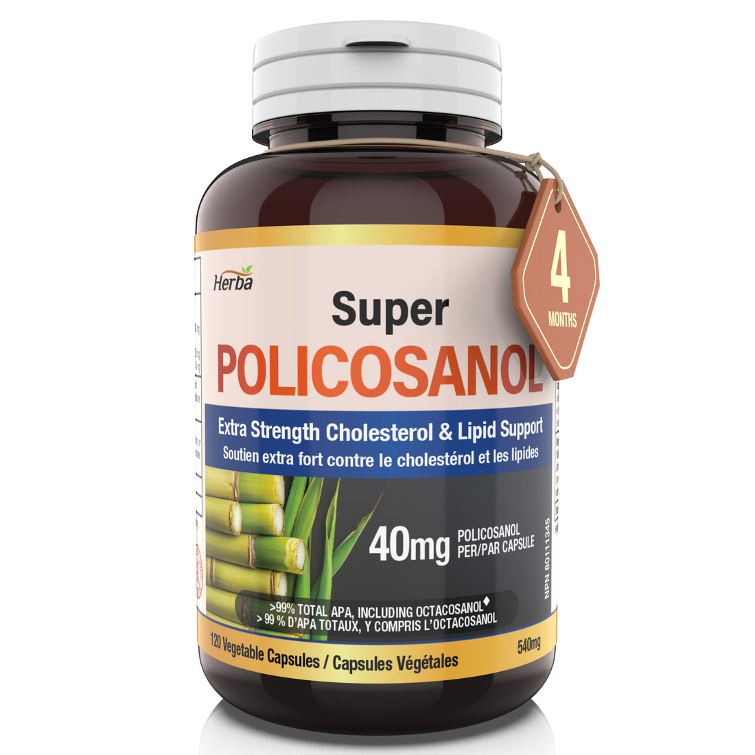 쿠바산 고함량 슈퍼 폴리코사놀 40mg 120식물성캡슐 콜레스테롤 혈압 관리