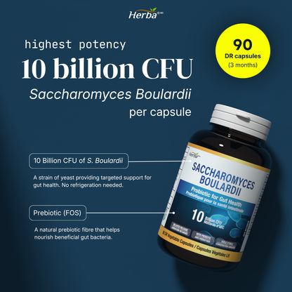 Saccharomyces Boulardii Probiotic 10B CFU – 90 DR Capsules | Made in Canada