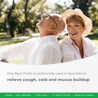 허바 유기농 홀리 바질 캡슐 – 350mg | 120 식물성 캡슐 | 3,500mg 10배 농축 홀리바질잎 추출물