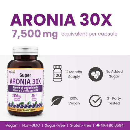 30배 농축 아로니아 7500mg 120식물성캡슐 안토시아닌 풍부