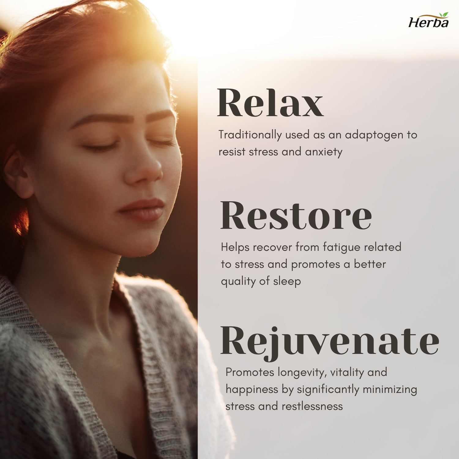 아슈와간다 150식물성캡슐 위다노라이드 20mg 15배 농축 아쉬와간다 하루섭취량 6000mg 