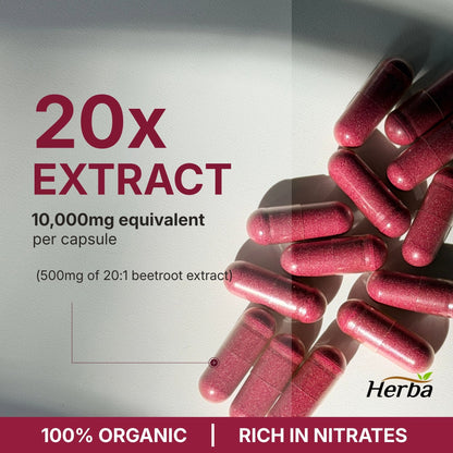 유기농 비트 뿌리  10,000mg 180캡슐 20배 농축 레드 비트비트 캐나다산