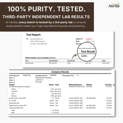 Herba 벤포티아민 100mg - 120 캡슐 | 지용성 비타민 B1 | 캐나다산