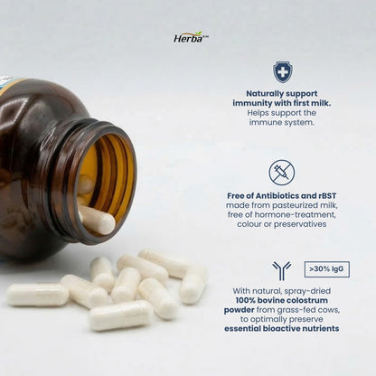 초유 단백질 1000mg 120식물성캡슐 락토페린과 면역글로불린 30% IgG 풍부