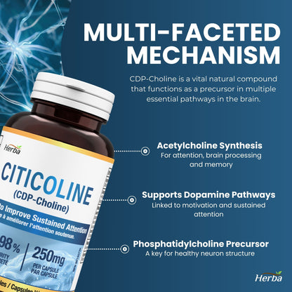 Citicoline Supplement 250mg – 90 Capsules | >98% Ultra Pure CDP Choline | Made in Canada