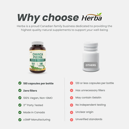 Chanca Piedra Extract - 180 Capsules | 5,000mg Equivalent | 10:1 Extract from 500mg | Made in Canada