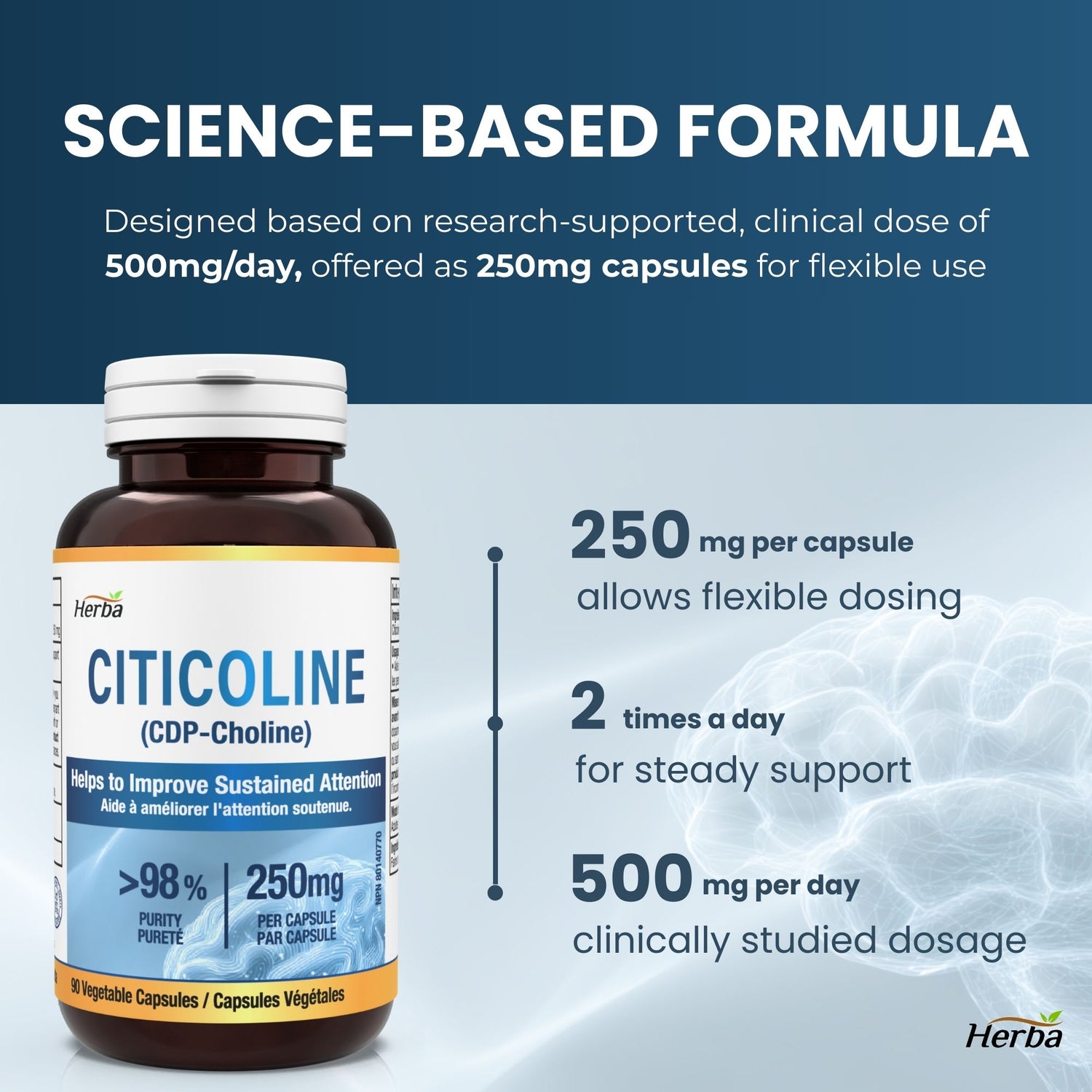 Citicoline Supplement 250mg – 90 Capsules | >98% Ultra Pure CDP Choline | Made in Canada