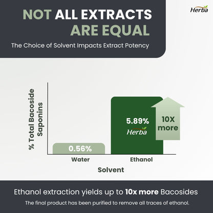 Bacopa Monnieri Supplement – 120 Capsules | 300mg, 20:1 Extract - 6,000mg Equivalent | Made in Canada