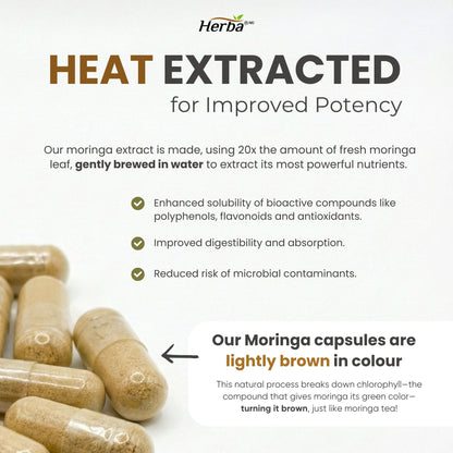 Organic Moringa Extract Capsules 10,000mg - 180 Capsules | 20:1 Extract | Made in Canada