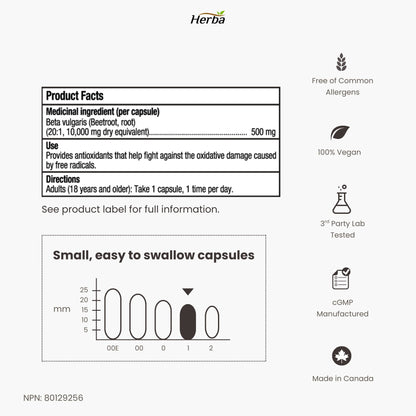 유기농 비트 뿌리  10,000mg 180캡슐 20배 농축 레드 비트비트 캐나다산