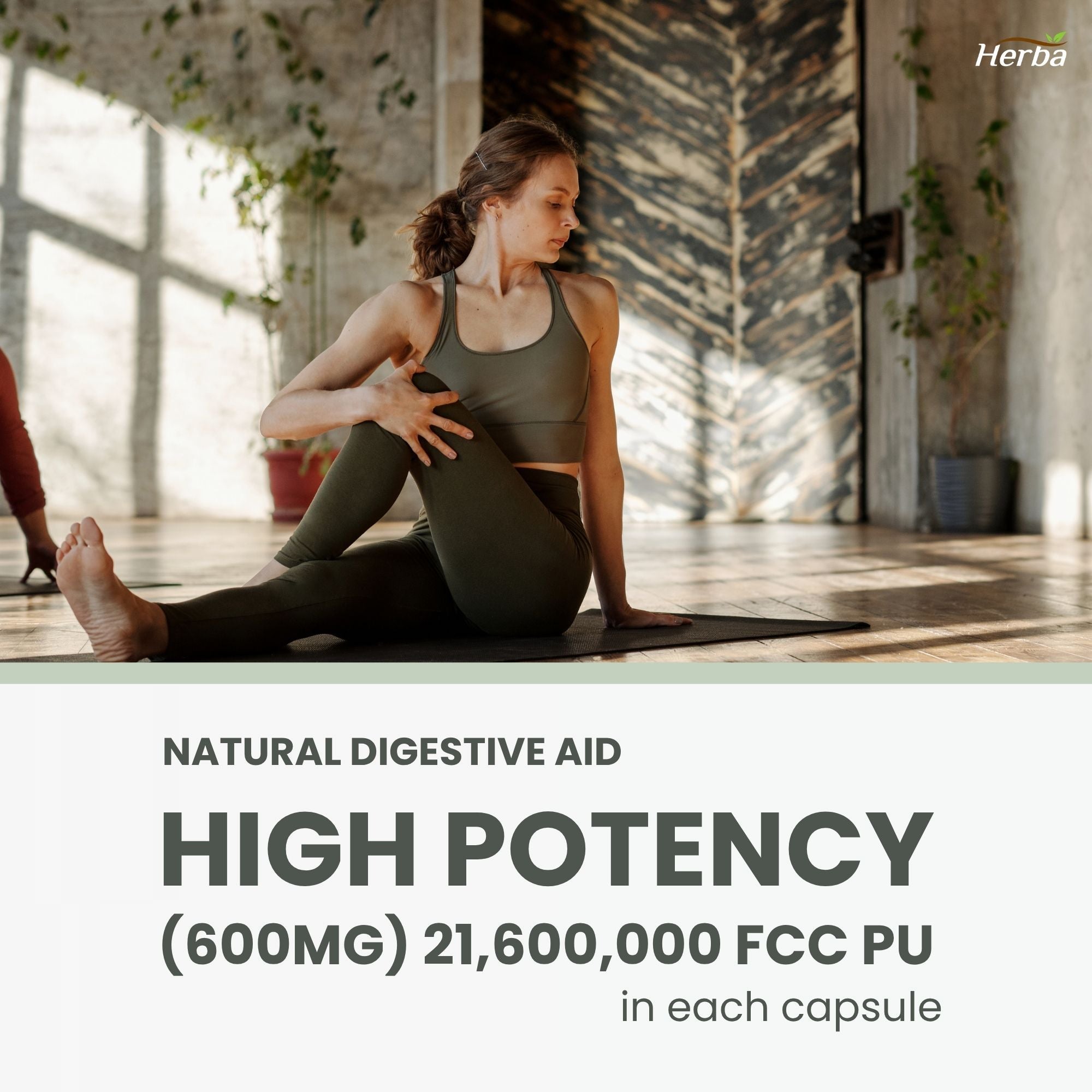 브로멜라인 보충제 600mg – 180캡슐 | 최대 효능 2,400 GDU/g