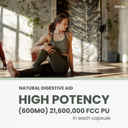 브로멜라인 보충제 600mg – 180캡슐 | 최대 효능 2,400 GDU/g