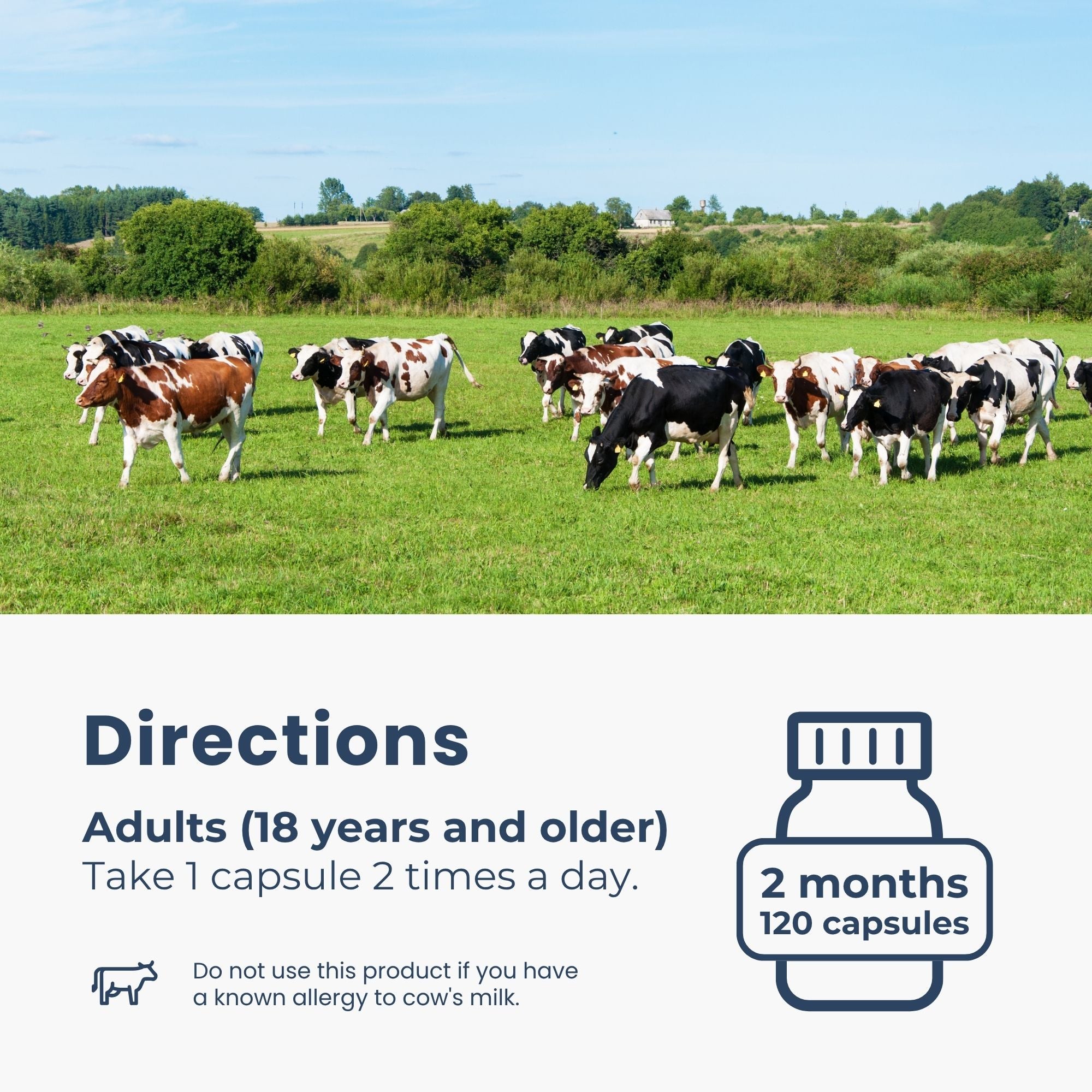 초유 단백질 1000mg 120식물성캡슐 락토페린과 면역글로불린 30% IgG 풍부