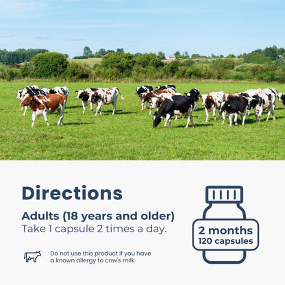 초유 단백질 1000mg 120식물성캡슐 락토페린과 면역글로불린 30% IgG 풍부