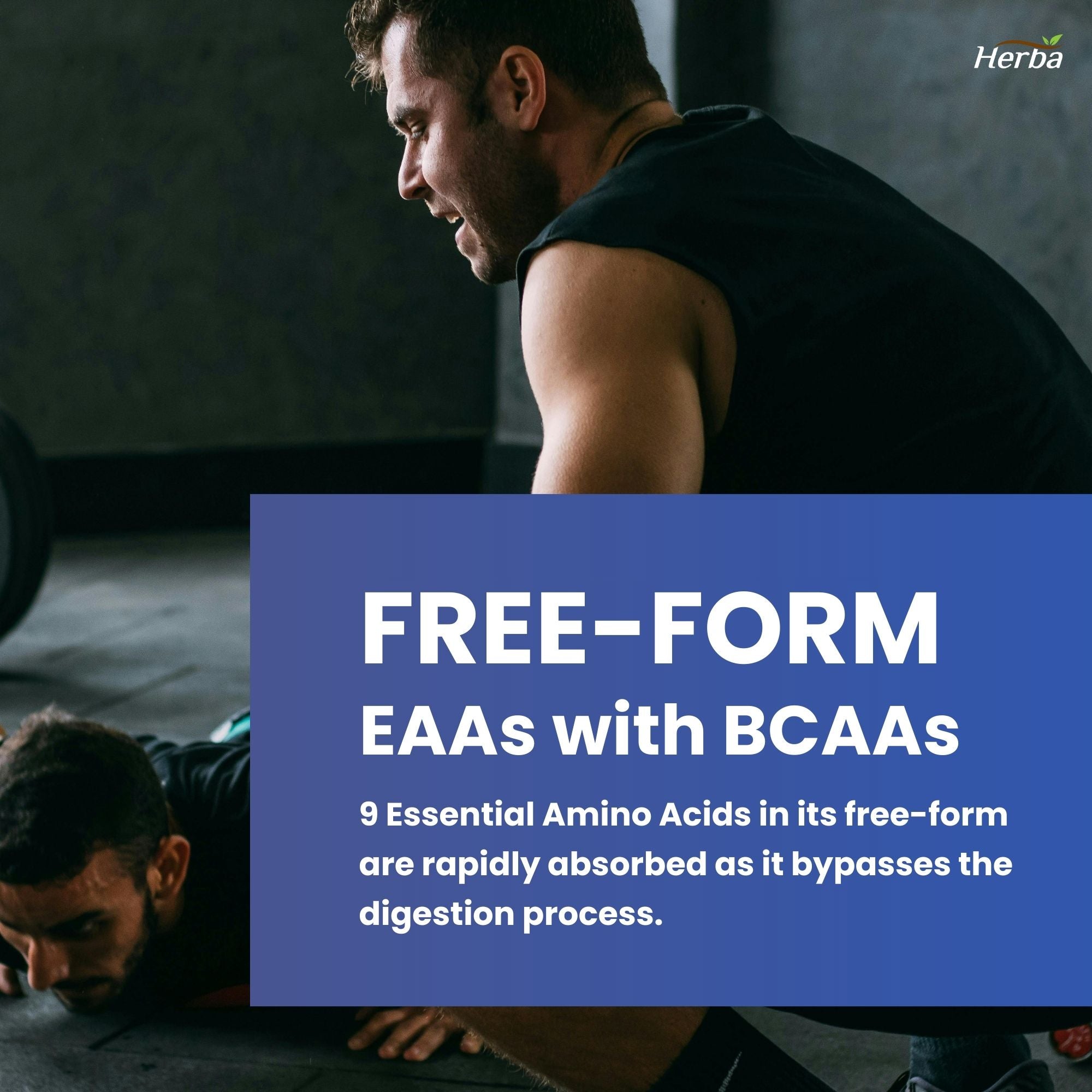 Essential Amino Acids Supplement – 180 Capsules | All 9 EAA Supplement in Free Form | Made in Canada