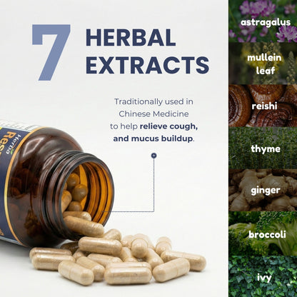 폐 호흡기 케어 120식물성캡슐 폐건강 호흡기건강