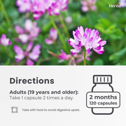 폐 호흡기 케어 120식물성캡슐 폐건강 호흡기건강