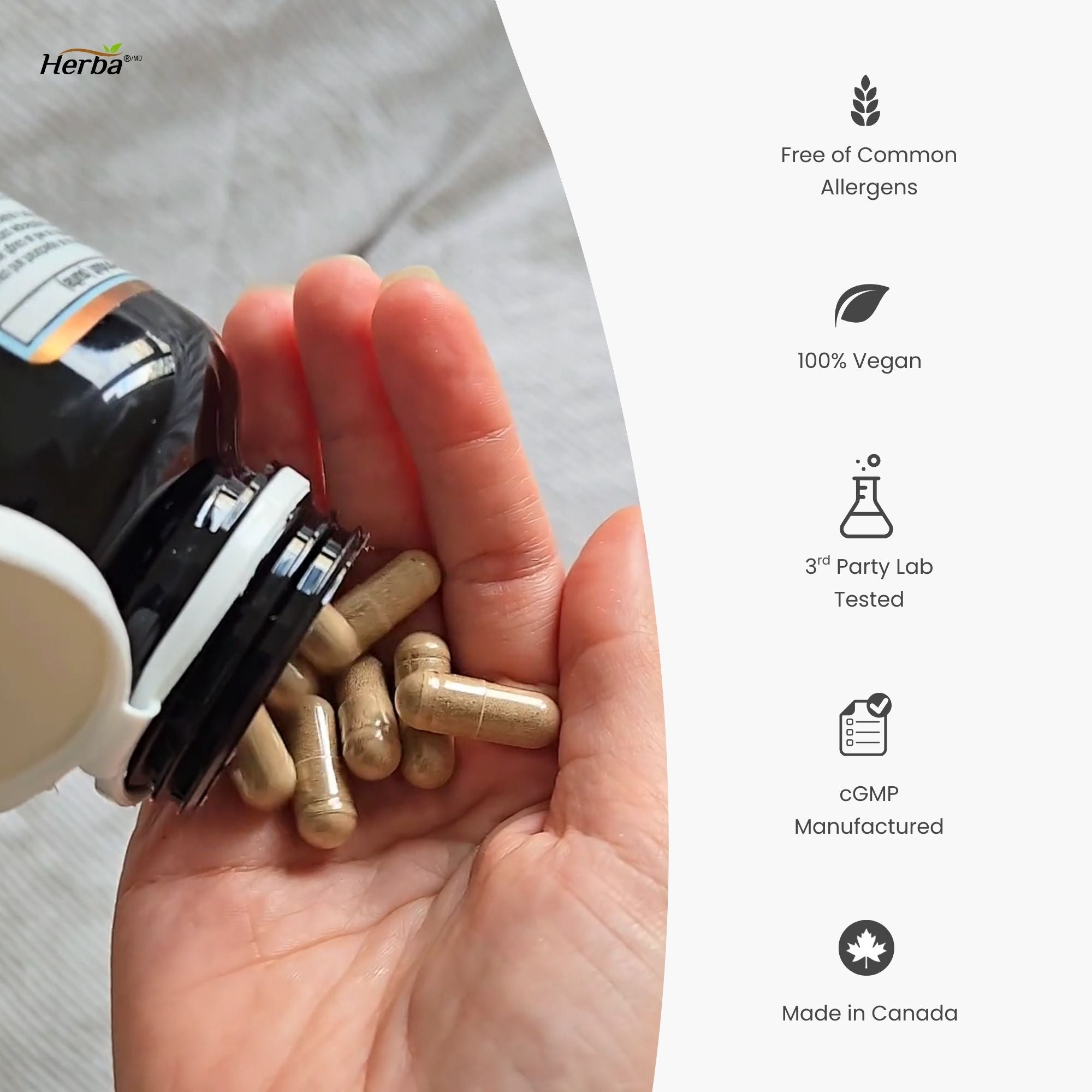 폐 호흡기 케어 120식물성캡슐 폐건강 호흡기건강