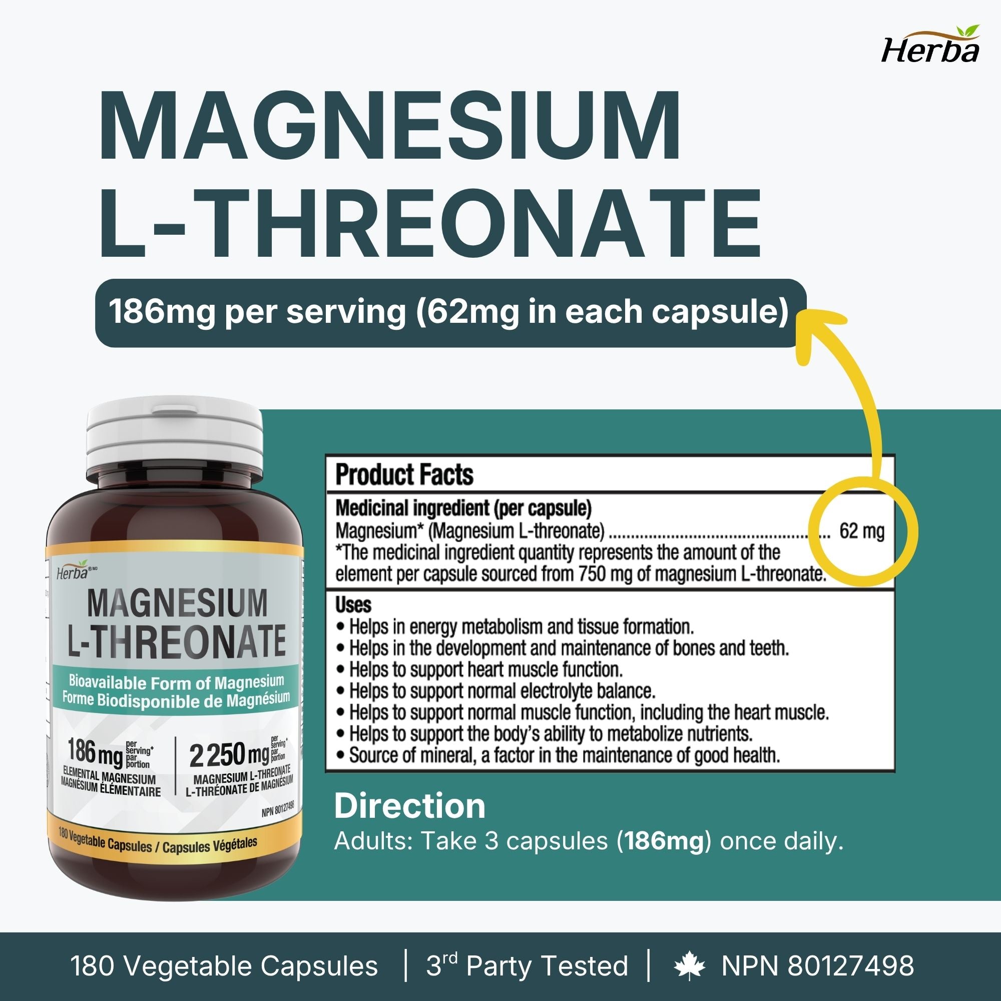 트레온산 마그네슘 2250mg 180캡슐 순수 마그네슘 186mg 캐나다산 