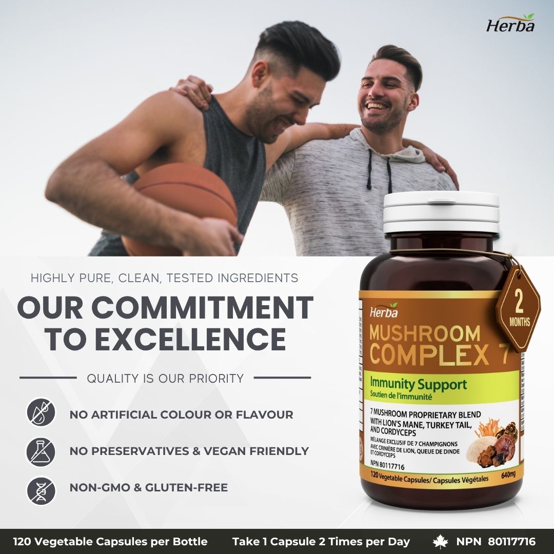 버섯 영양제 1280mg 120캡슐 영지버섯 동충하초 마이타케 7가지 버섯다당체 면역