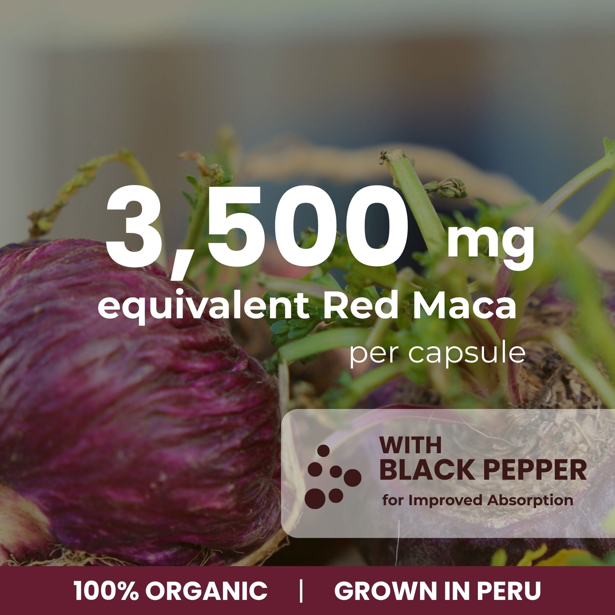 Organic Red Maca Capsules - 3500mg, 180 Capsules | Peruvian Red Maca | Made in Canada