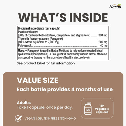 쿠바산 고함량 슈퍼 폴리코사놀 40mg 120식물성캡슐 콜레스테롤 혈압 관리