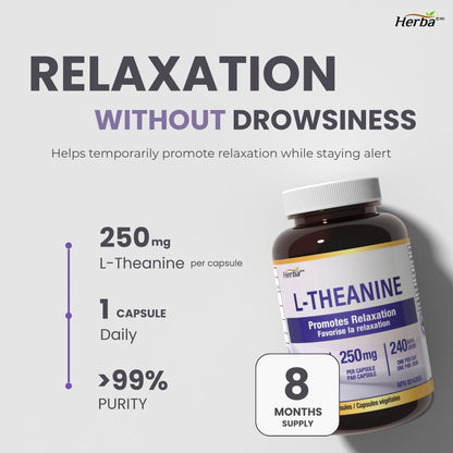 L-테아닌 보조제 250mg – 240캡슐 | 졸음 없이 휴식 촉진 | 8개월분 | 캐나다산