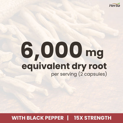 아슈와간다 150식물성캡슐 위다노라이드 20mg 15배 농축 아쉬와간다 하루섭취량 6000mg 