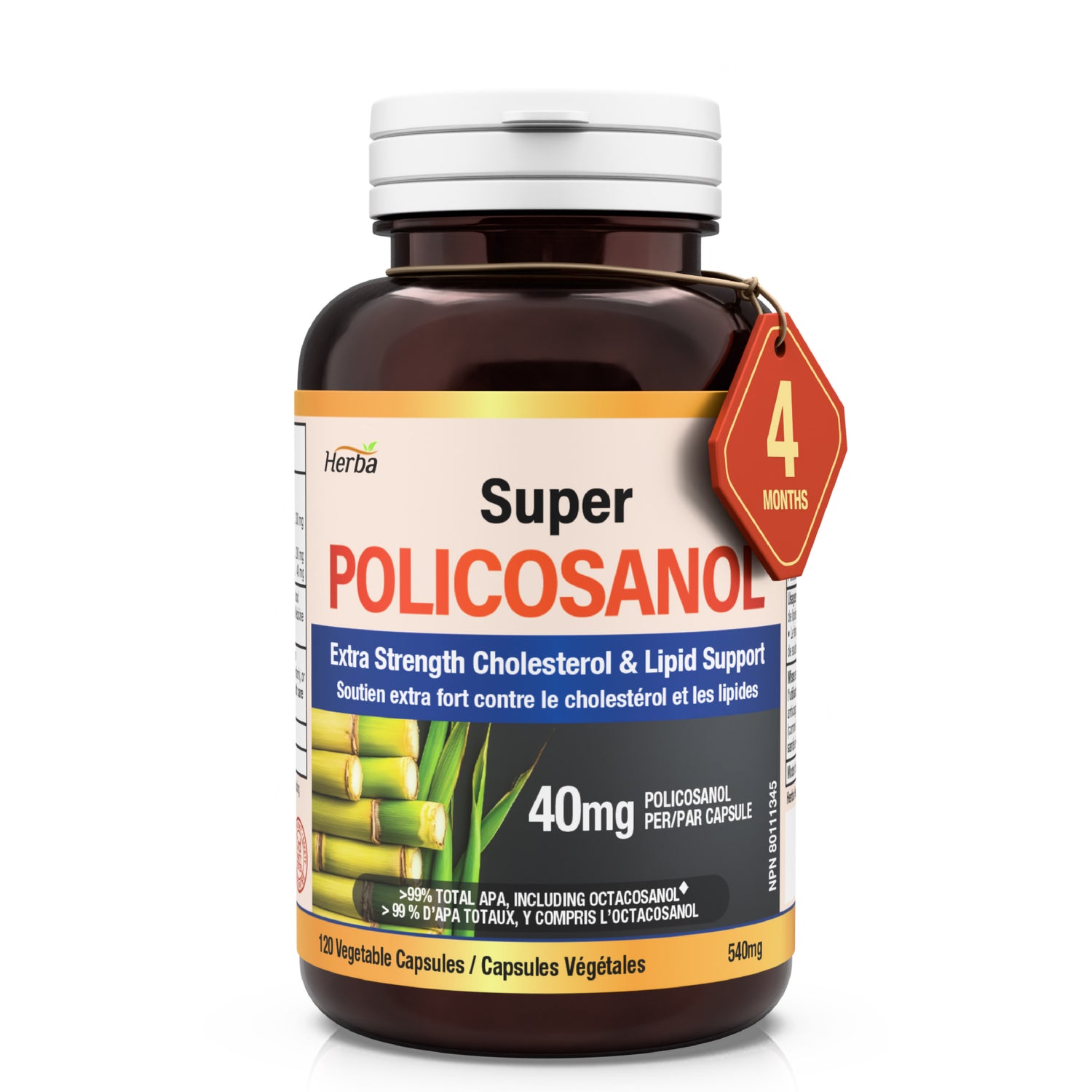 쿠바산 고함량 슈퍼 폴리코사놀 40mg 120식물성캡슐 콜레스테롤 혈압 관리