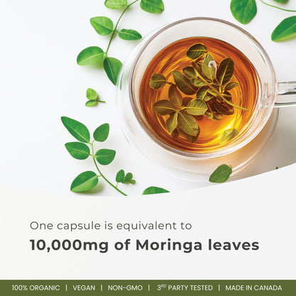 Organic Moringa Extract Capsules 10,000mg - 180 Capsules | 20:1 Extract | Made in Canada