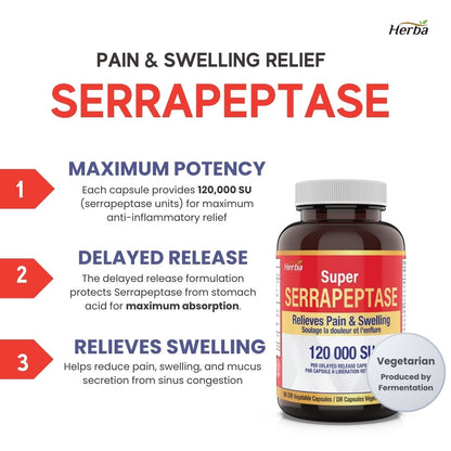 고함량 세라펩제 90식물성캡슐 120000SU 비염 천연항생제