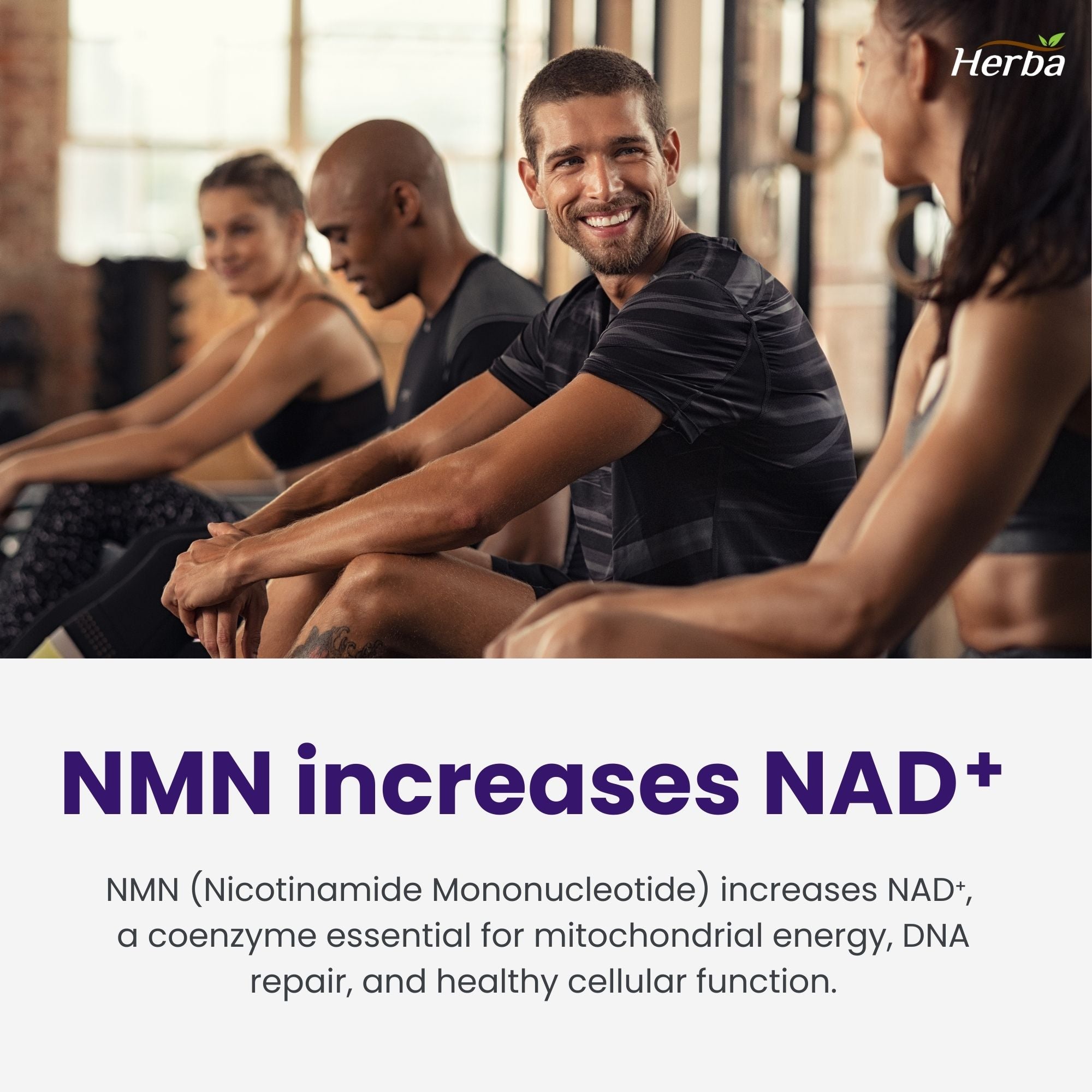 NMN 500mg 30베지캡슐 + 레스베라트롤 100mg 추가 함유