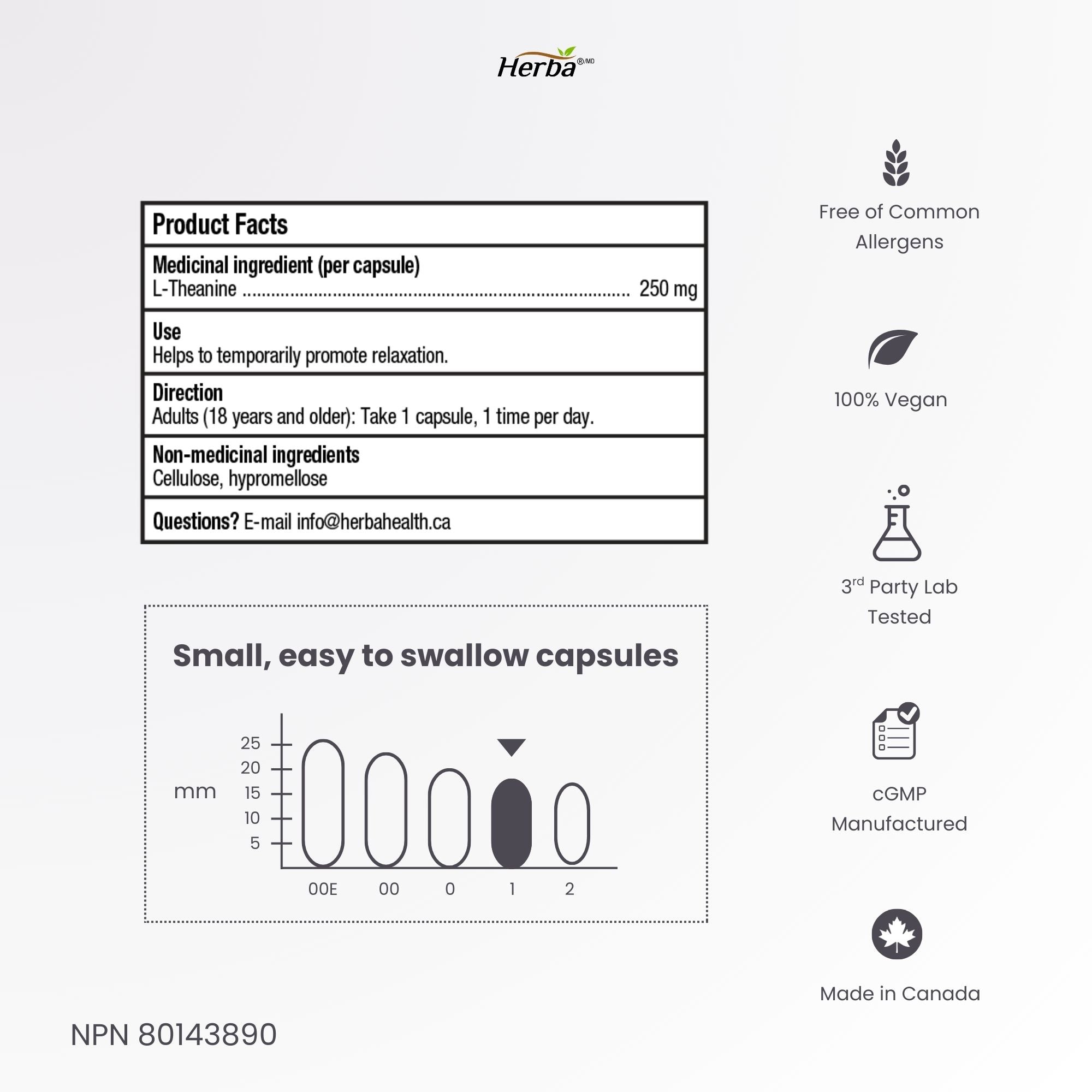 L-테아닌 보조제 250mg – 240캡슐 | 졸음 없이 휴식 촉진 | 8개월분 | 캐나다산